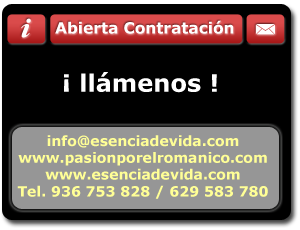 conciertos esencia de vida
